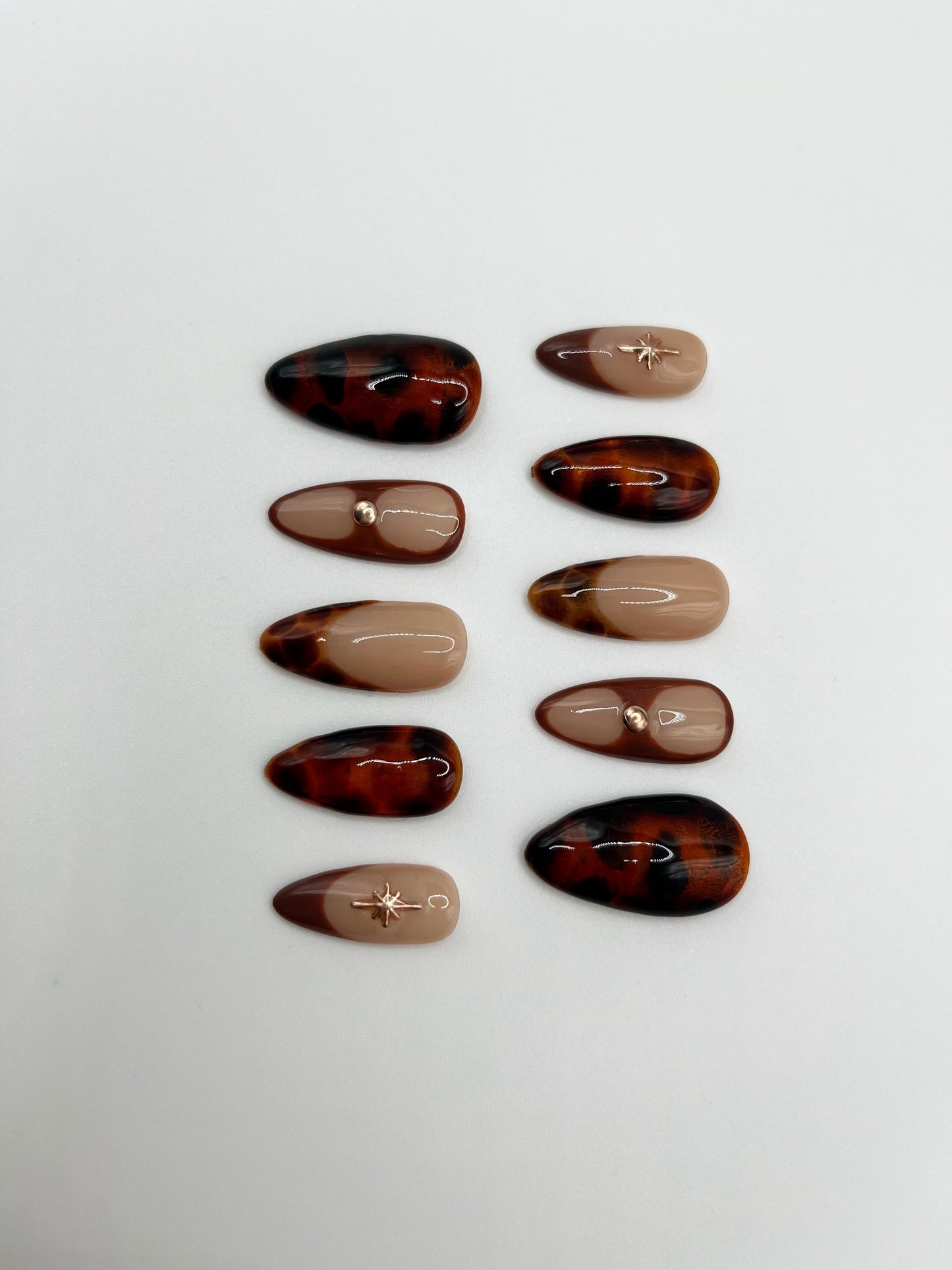 Tortoise Shell